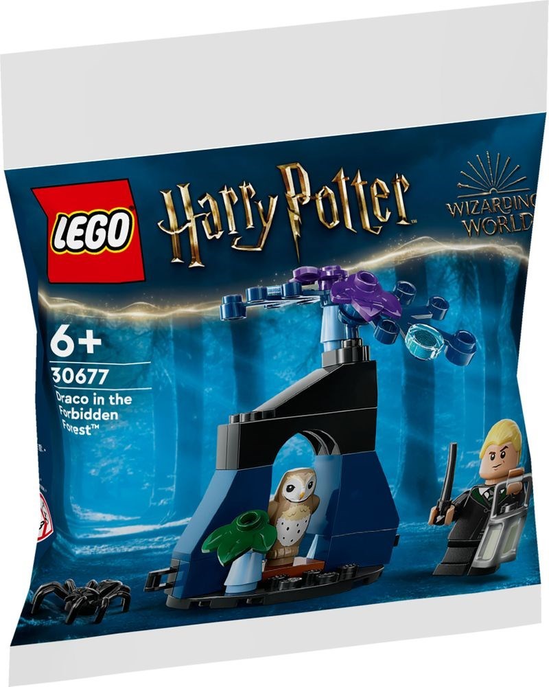 Draco in the Forbidden Forest 30677 - hình ảnh tổng thể bộ LEGO