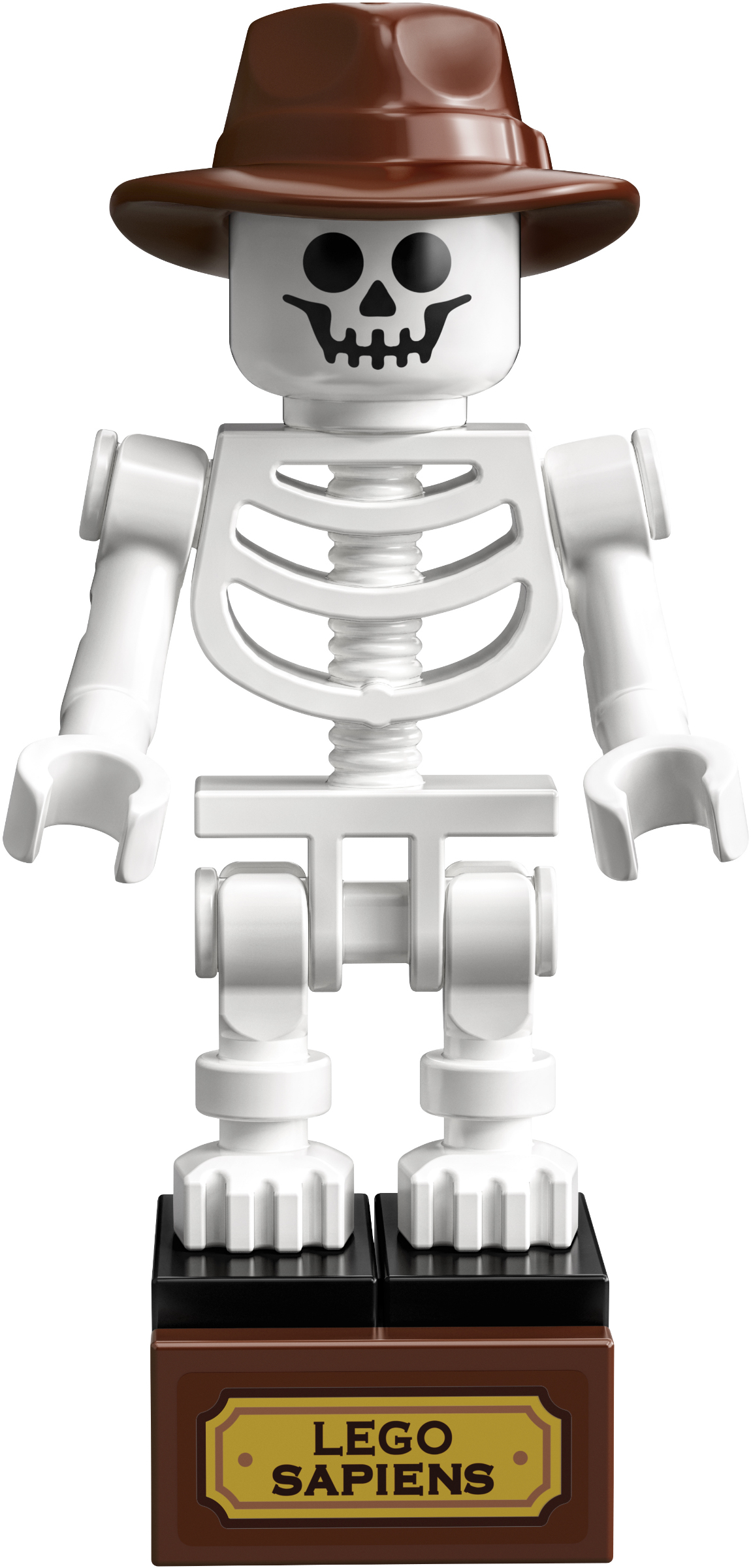 LEGO Editions Dinosaur Fossils 21320 tổng thể