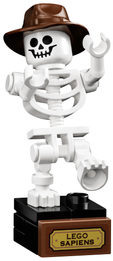 LEGO Dinosaur Fossils 21320 góc nhìn khác