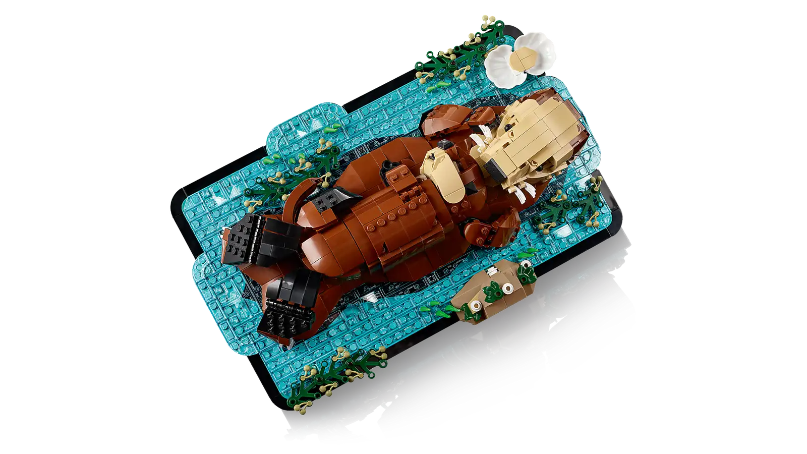 LEGO Floating Sea Otters 21366 chi tiết mặt trước