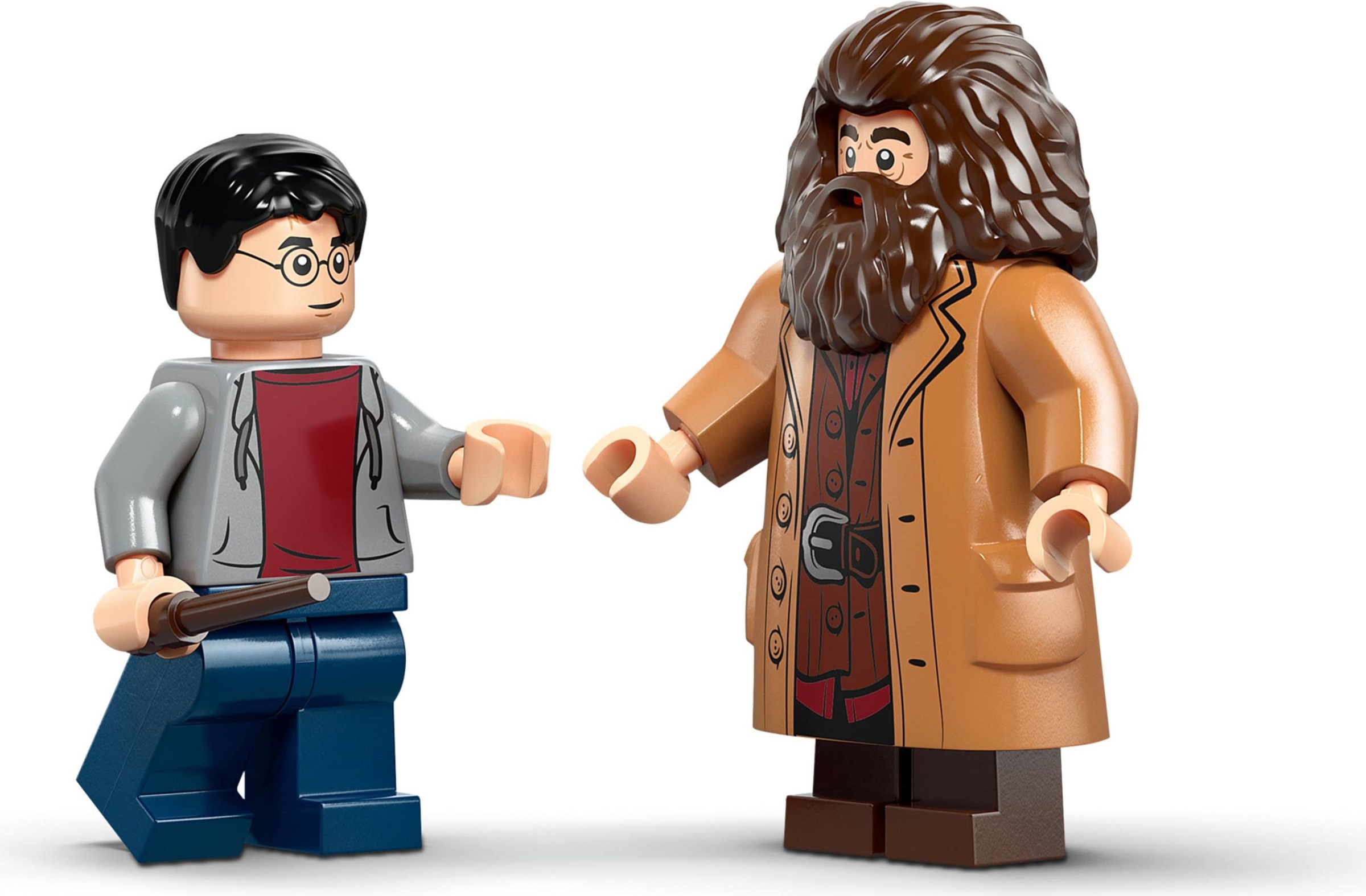 Hagrid & Harry