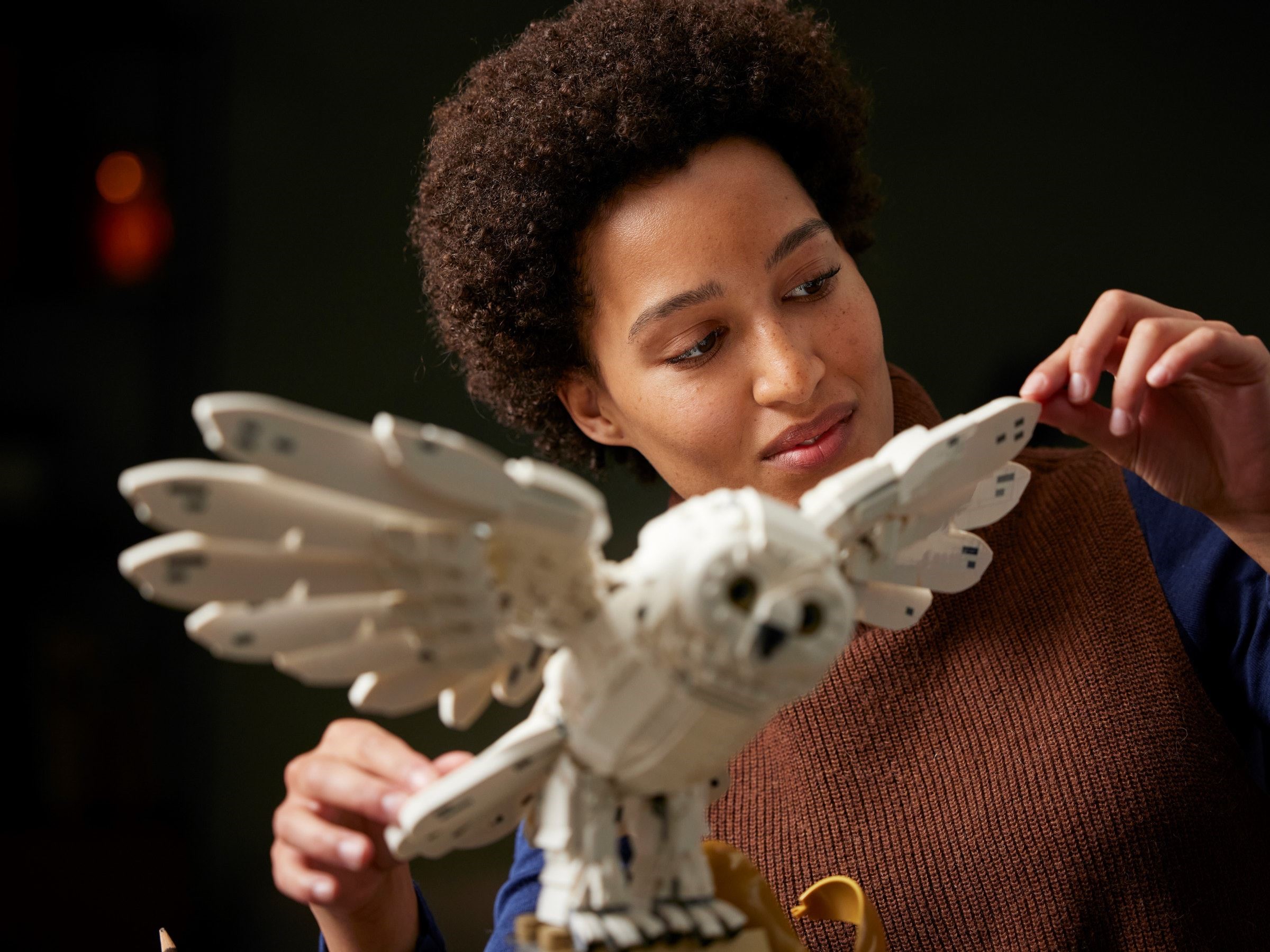 Hogwarts Icons Collectors