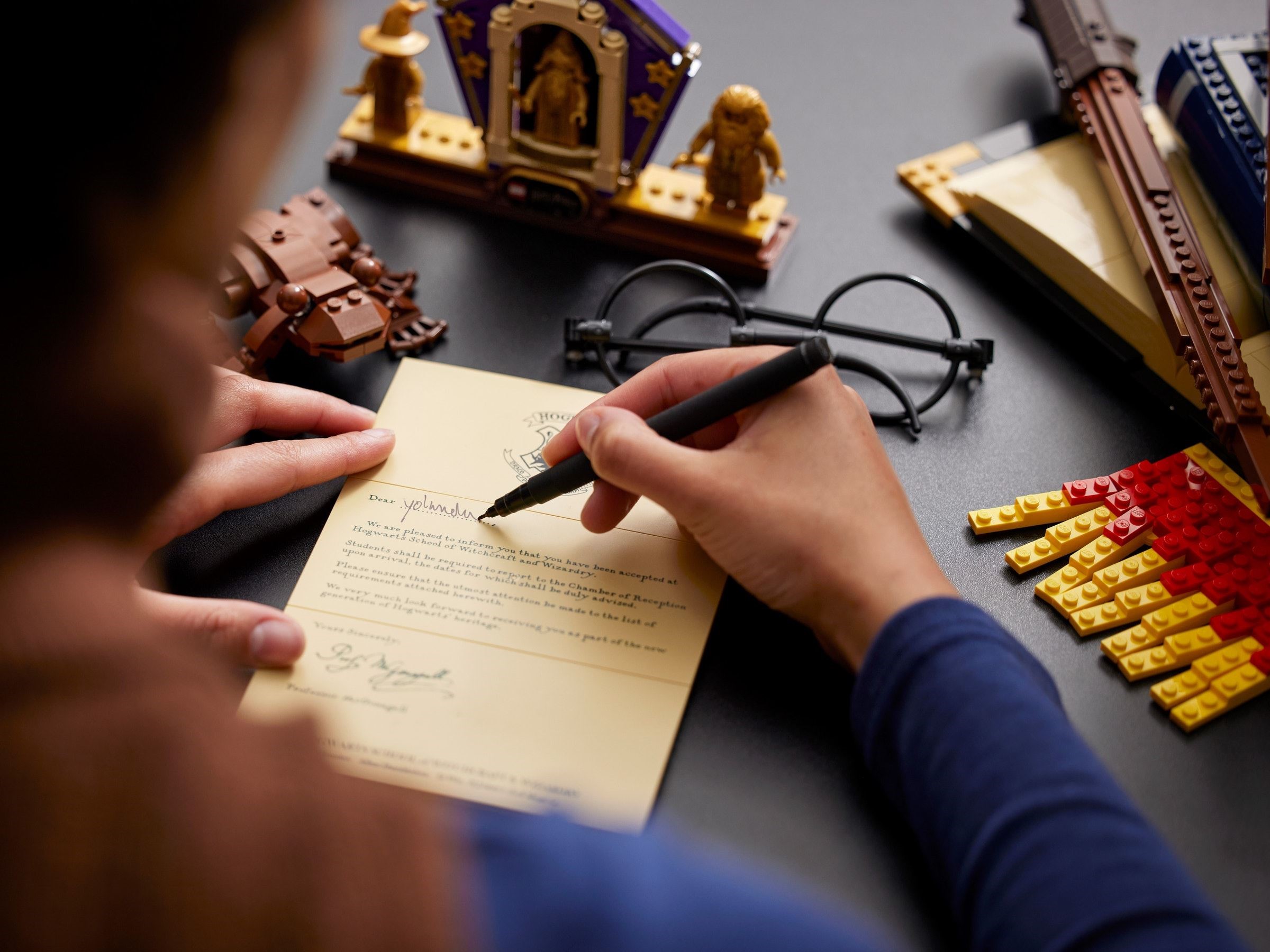 Hogwarts Icons Collectors