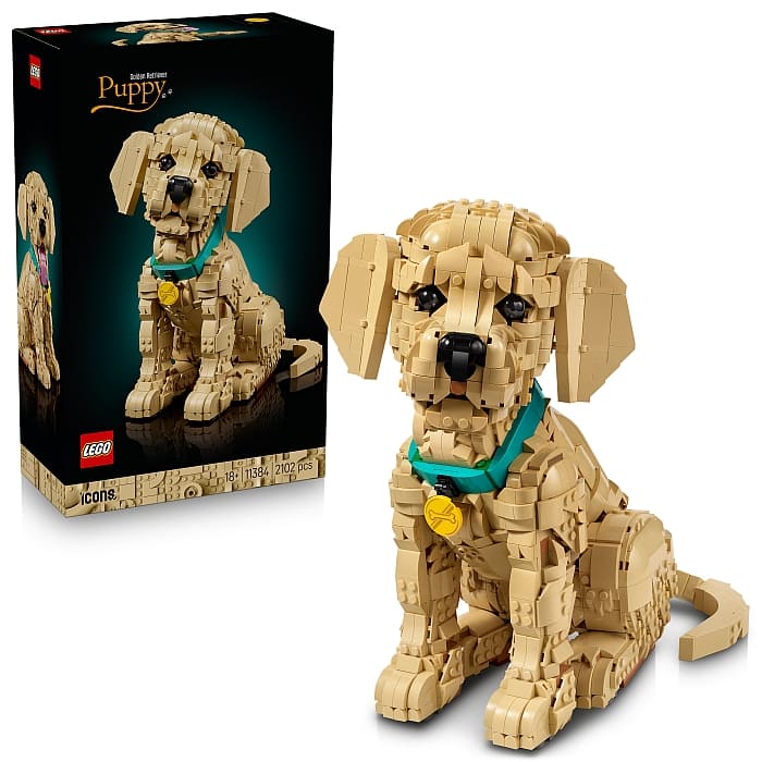 LEGO Icons Golden Retriever Puppy 11384 ảnh chi tiết khác